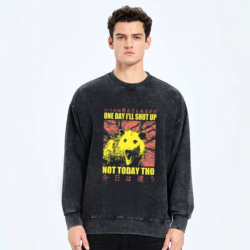 Japanese washed sweatshirt with vintage possum print
