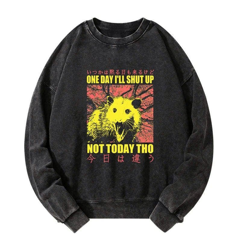 Japanese washed sweatshirt with vintage possum print