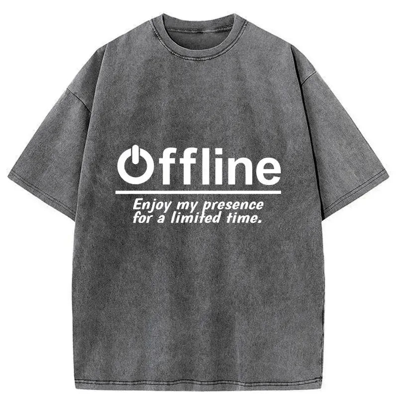 Kyoto-Lion Offline Gamer Washed T-Shirt