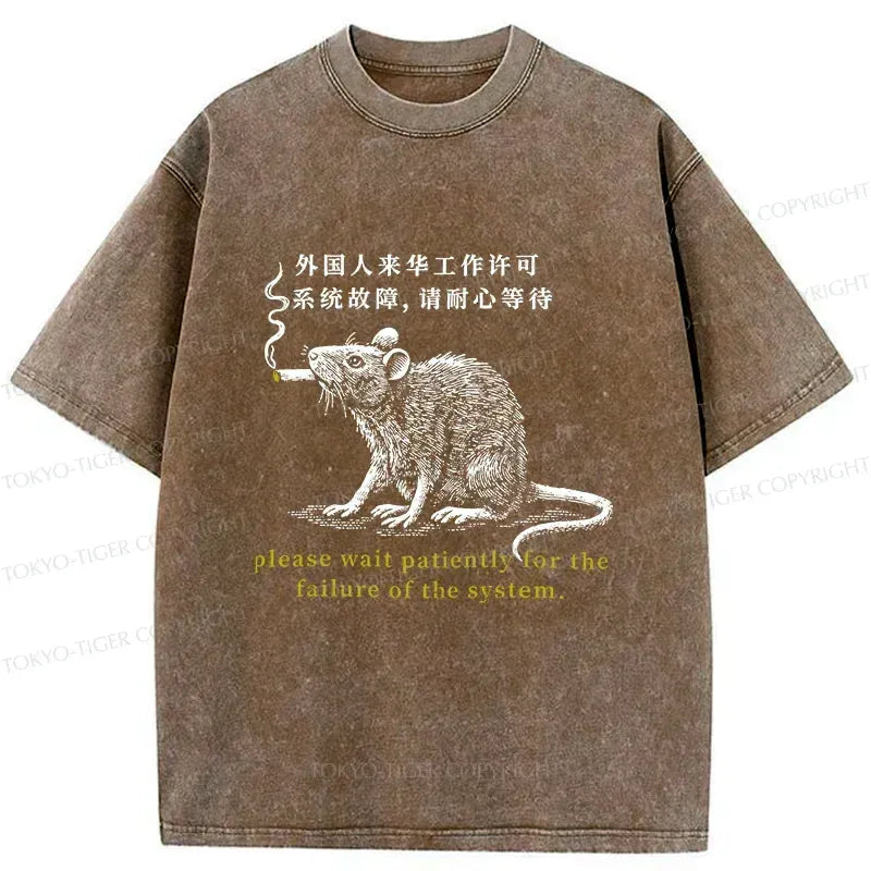 Kyoto-Lion Travel Permit Washed T-Shirt