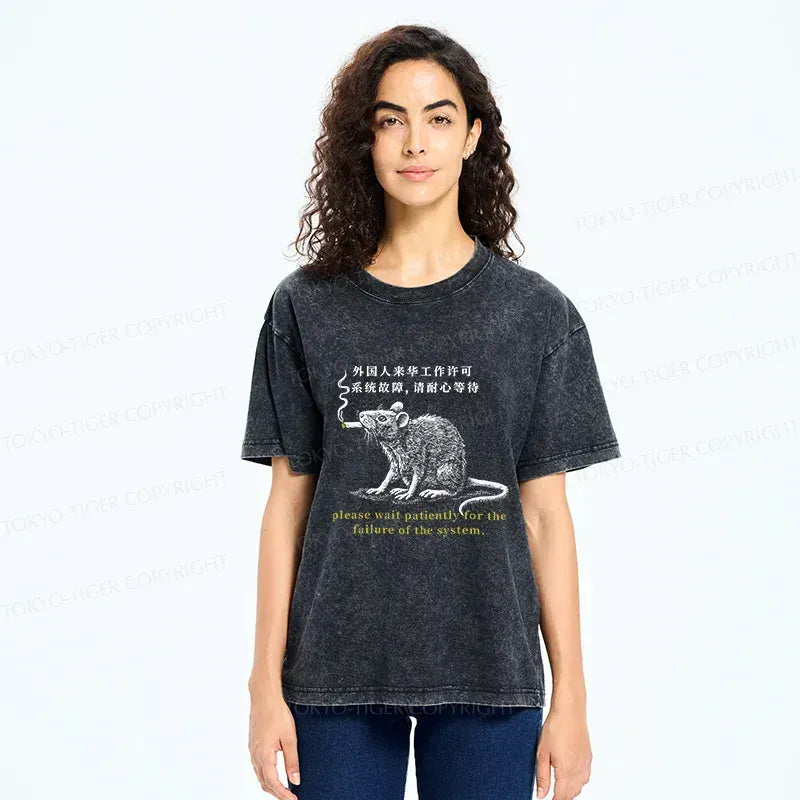 Kyoto-Lion Travel Permit Washed T-Shirt