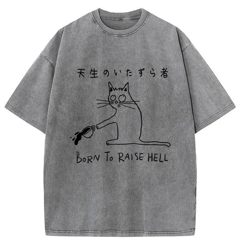 Kyoto-Lion washed t-shirt for daily wear