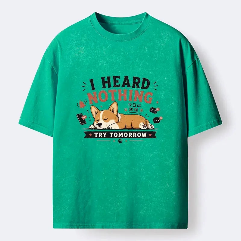 Kyoto-Lion I Heard Nothing Today Washed T-Shirt