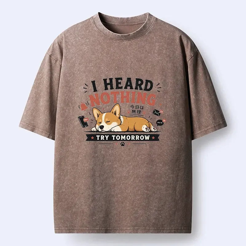 Kyoto-Lion I Heard Nothing Today Washed T-Shirt