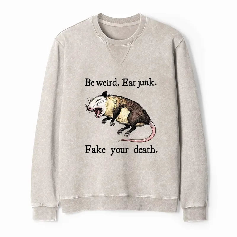 kyoto lion washed sweatshirt for streetwear daily