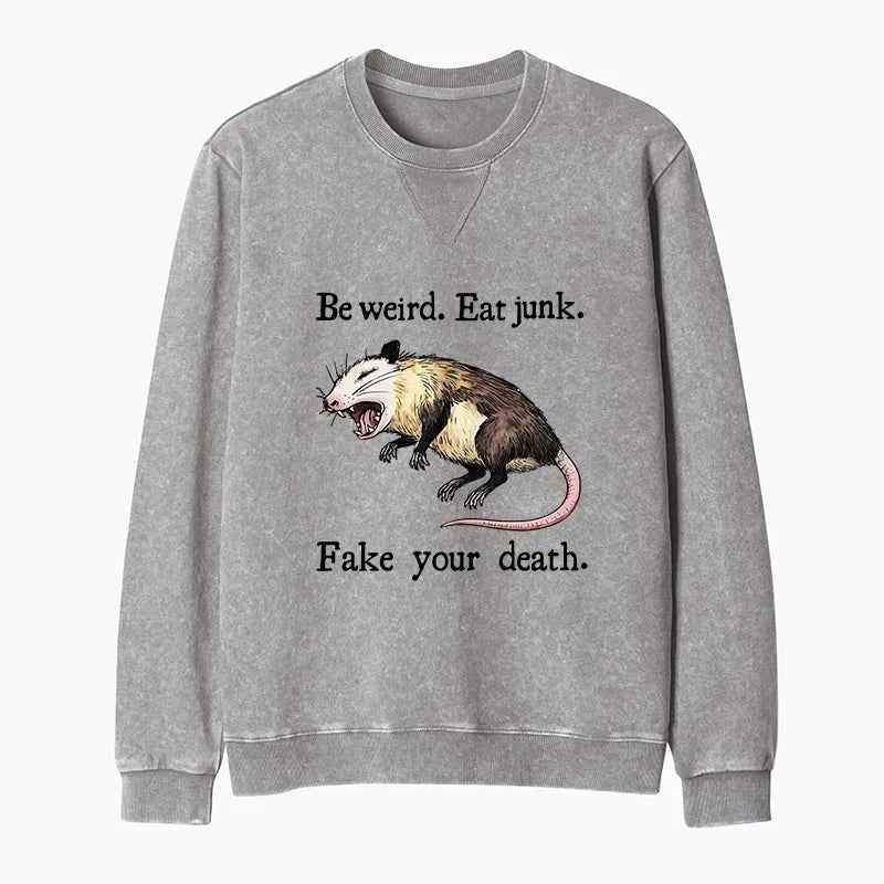 kyoto lion washed sweatshirt for streetwear daily