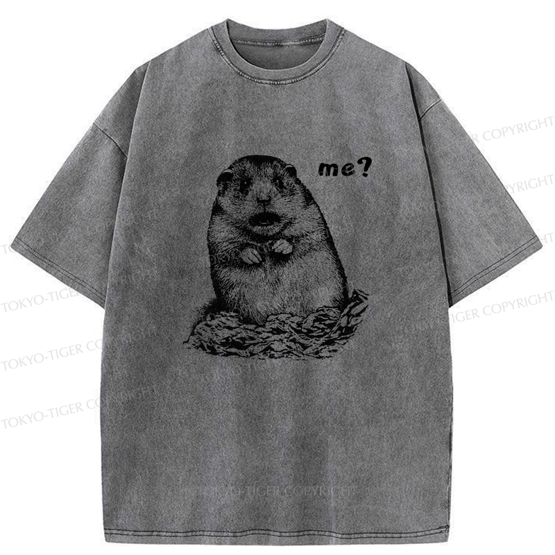 Kyoto-Lion Why You Choose Me Washed T-Shirt