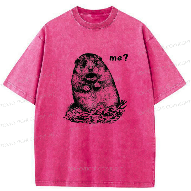 Kyoto-Lion Why You Choose Me Washed T-Shirt
