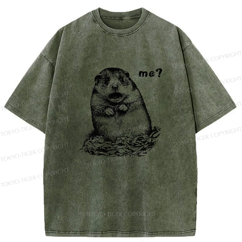 Kyoto-Lion Why You Choose Me Washed T-Shirt