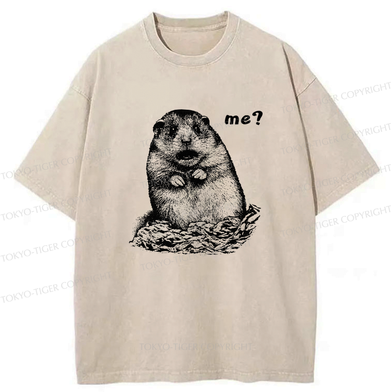 Kyoto-Lion Why You Choose Me Washed T-Shirt
