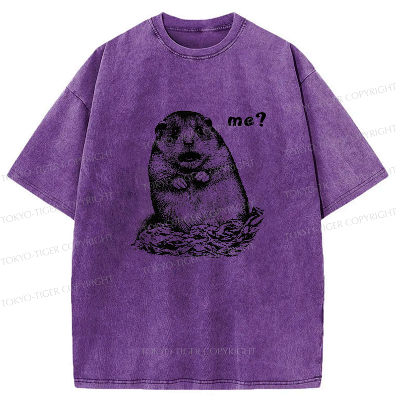 Japanese washed t-shirt for daily wear