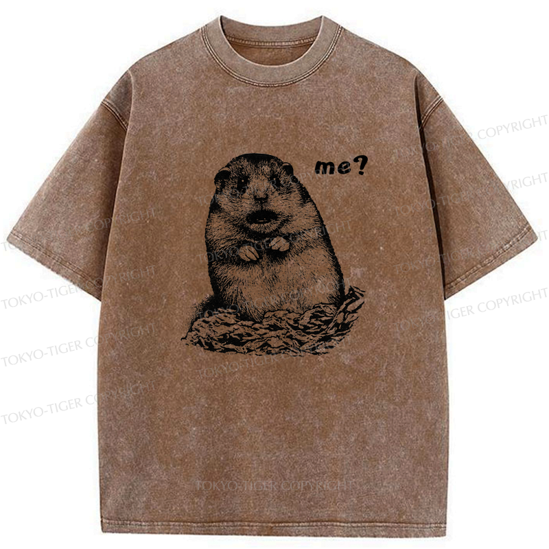 Kyoto lion shirt gift for him