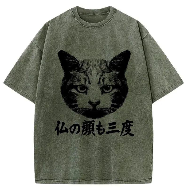 kyoto lion cat tee gift idea