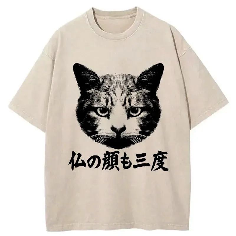 Kyoto-Lion Cat Hits After Three Messes Washed T-Shirt