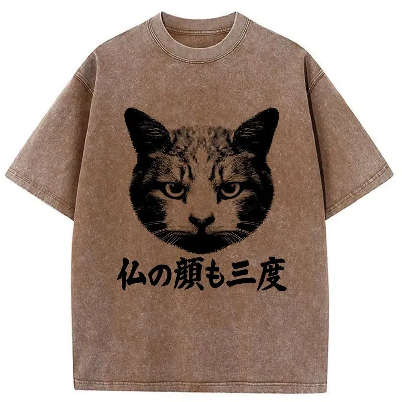 kyoto lion cat tee gift idea