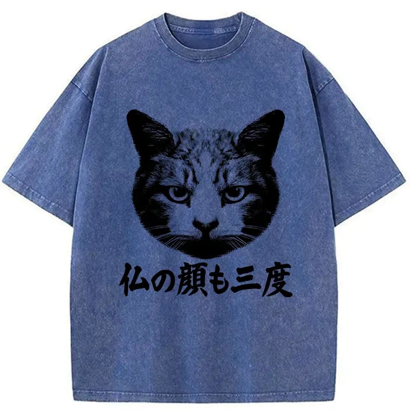 Kyoto-Lion Cat Hits After Three Messes Washed T-Shirt