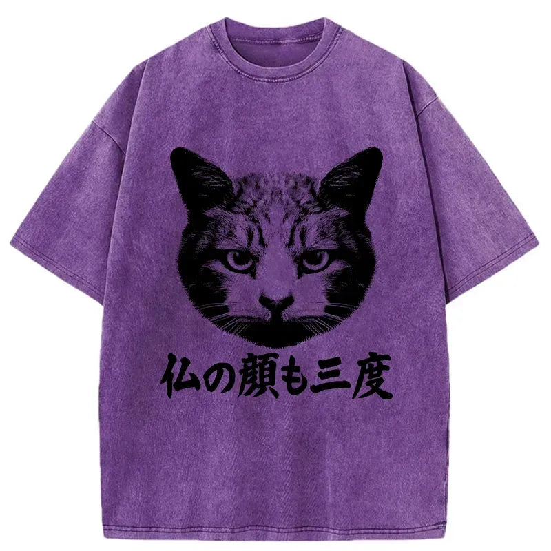 Kyoto-Lion Cat Hits After Three Messes Washed T-Shirt