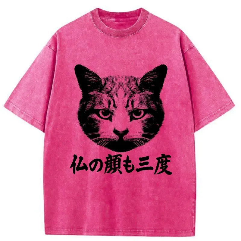 Kyoto-Lion Cat Hits After Three Messes Washed T-Shirt