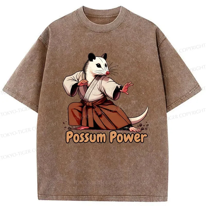 Japanese Vintage Washed T-Shirt