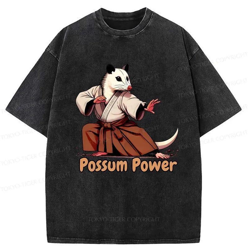 Japanese Vintage Washed T-Shirt