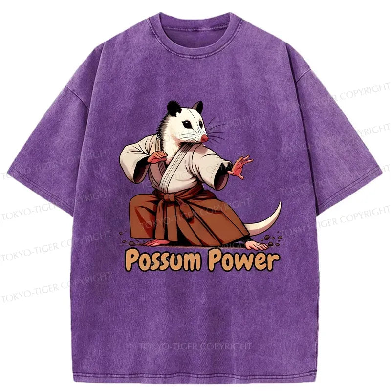 Japanese Vintage Washed T-Shirt