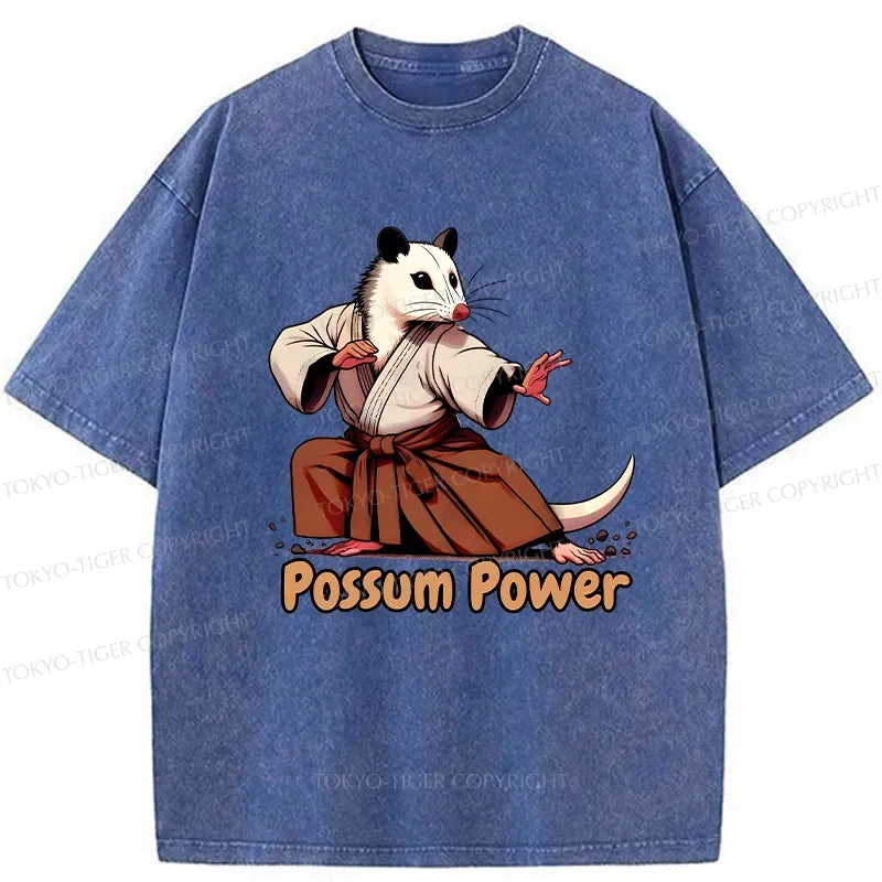 Kyoto-Lion Possum Power Washed T-Shirt