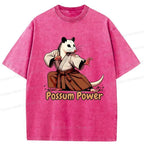 Kyoto Lion Gift Idea T-Shirt