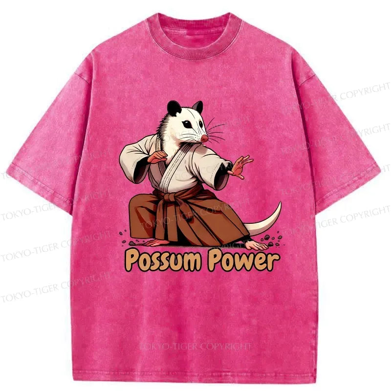 Kyoto Lion Gift Idea T-Shirt