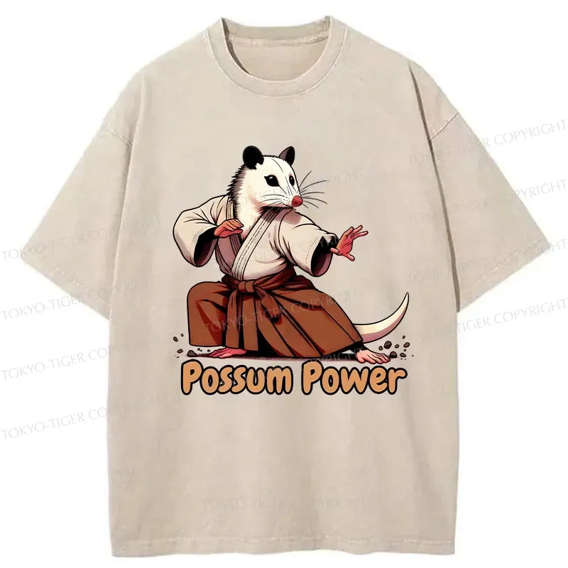 Kyoto Lion Gift Idea T-Shirt