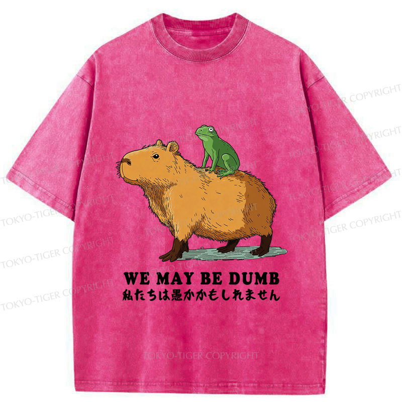 Japanese Vintage Washed T-Shirt for Men