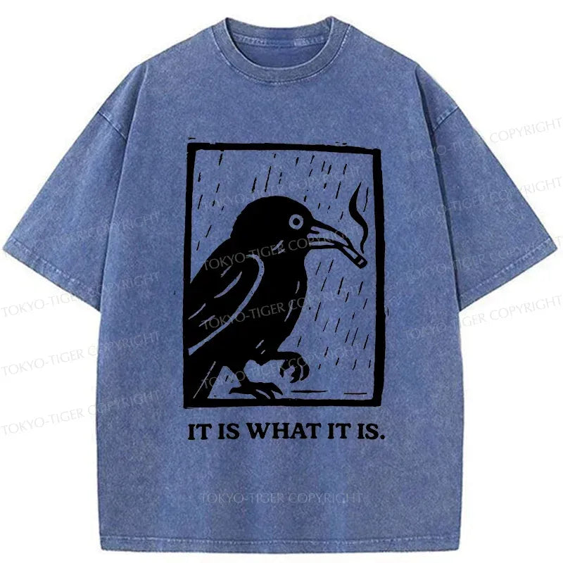 Kyoto-Lion Unisex T-Shirt for Everyday Casual