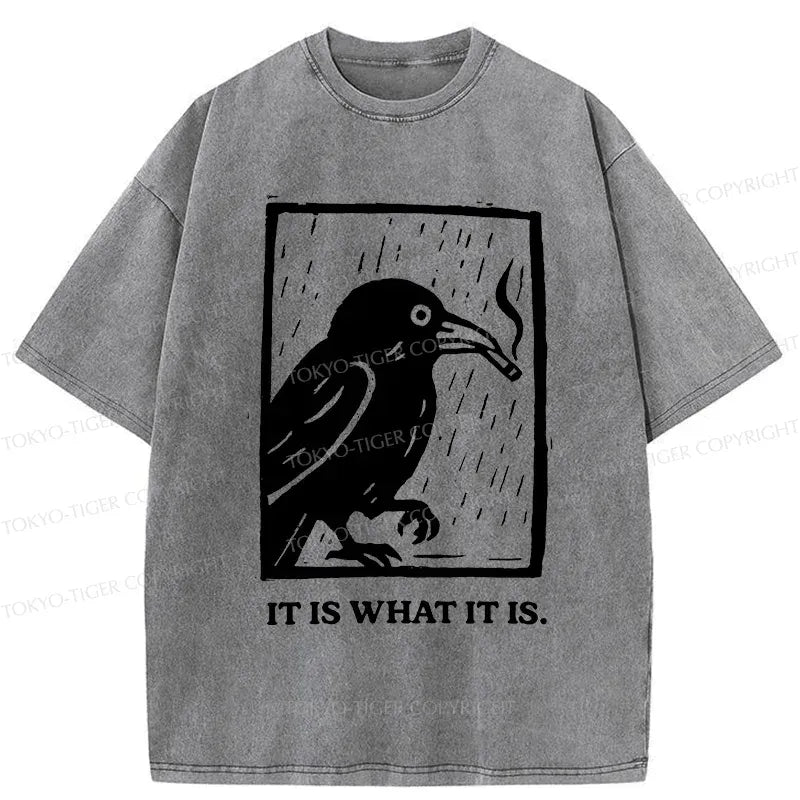 Kyoto-Lion Unisex T-Shirt for Everyday Casual