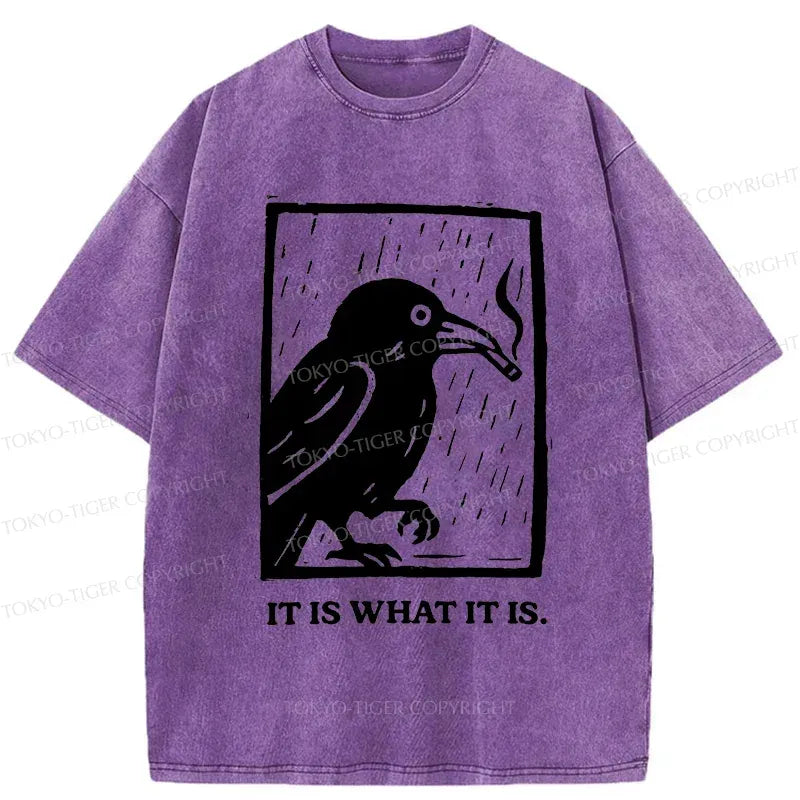Kyoto-Lion Smoking Crow Washed T-Shirt