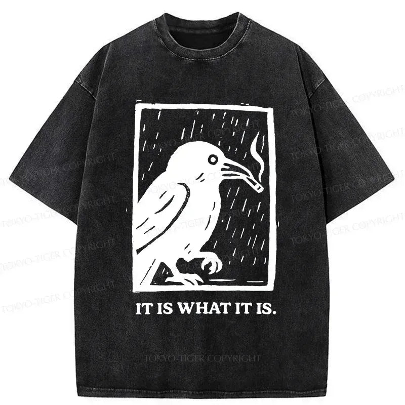 Kyoto-Lion Smoking Crow Washed T-Shirt