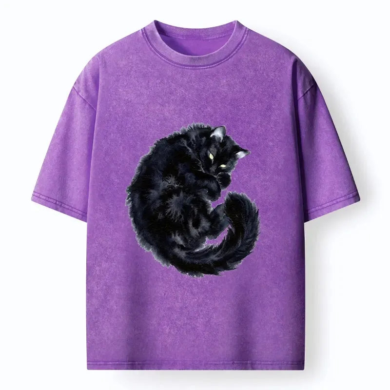 Kyoto-Lion Dark Cat Rest Mode Washed T-Shirt