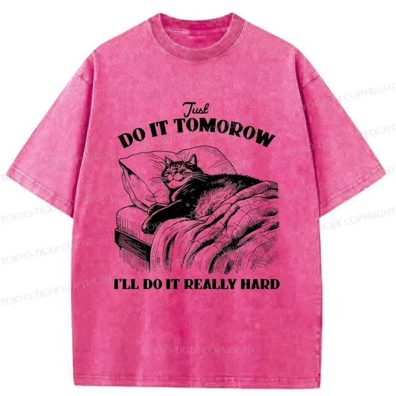 Washed Unisex T-Shirt with Cat Design