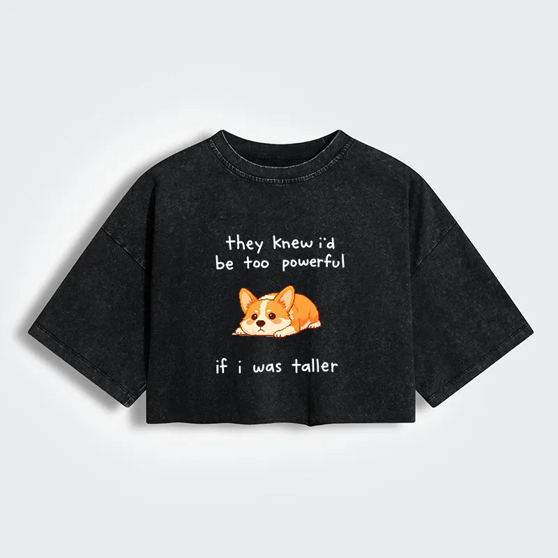 Kyoto-Lion Funny Short Dog Joke Women's Washed Crop T-Shirt