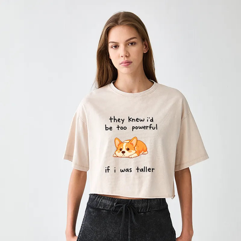 Kyoto-Lion Funny Short Dog Joke Women's Washed Crop T-Shirt