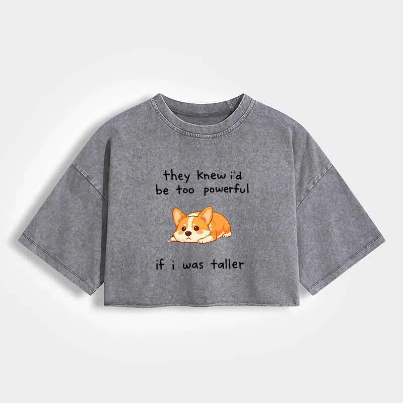 Kyoto-Lion Funny Short Dog Joke Women's Washed Crop T-Shirt