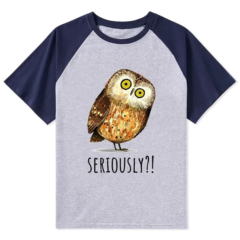Confused Owl Meme Raglan T-Shirt