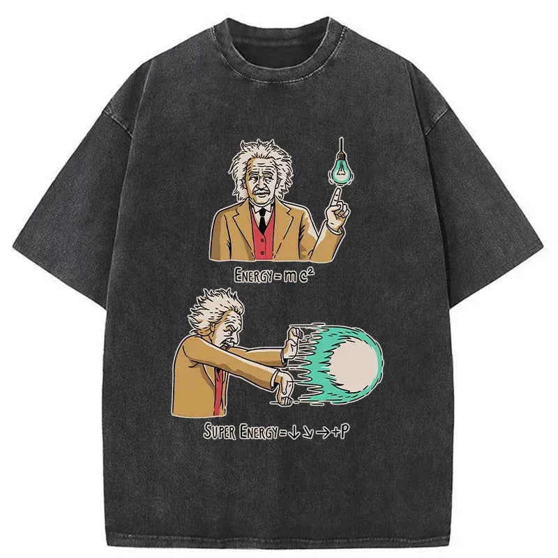 kyoto lion japanese washed t-shirt