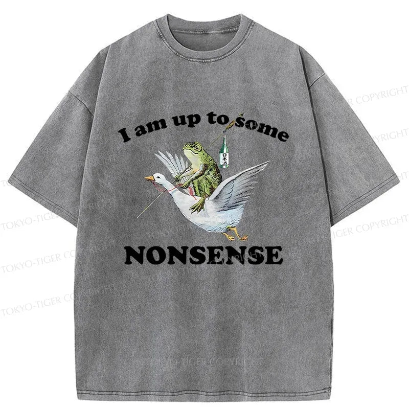 Kyoto-Lion Frog Riding A Goose Washed T-Shirt