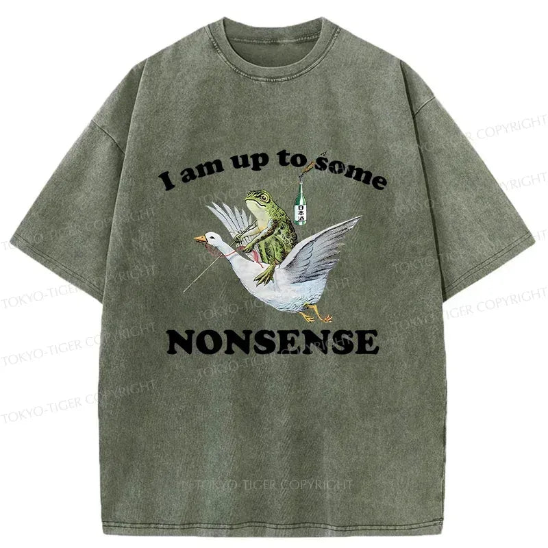 Kyoto-Lion Frog Riding A Goose Washed T-Shirt