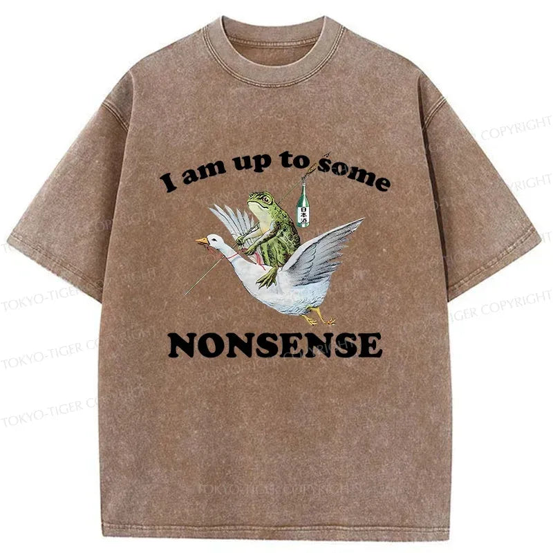 Kyoto-Lion Frog Riding A Goose Washed T-Shirt