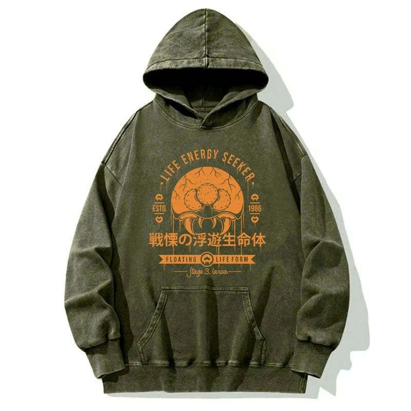 Kyoto lion washed hoodie for streetwear