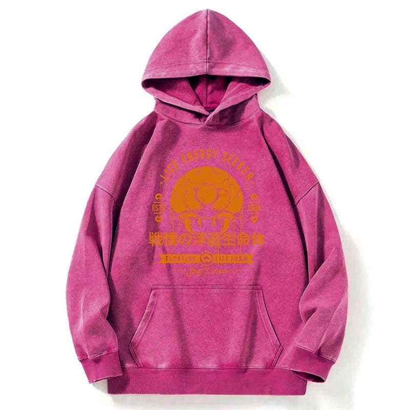 Kyoto lion washed hoodie for streetwear