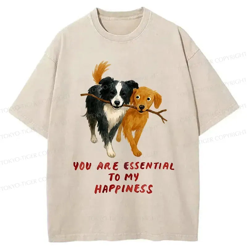 Kyoto-Lion Dogs' Friendship Washed T-Shirt