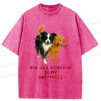 Kyoto-Lion Dogs' Friendship Washed T-Shirt