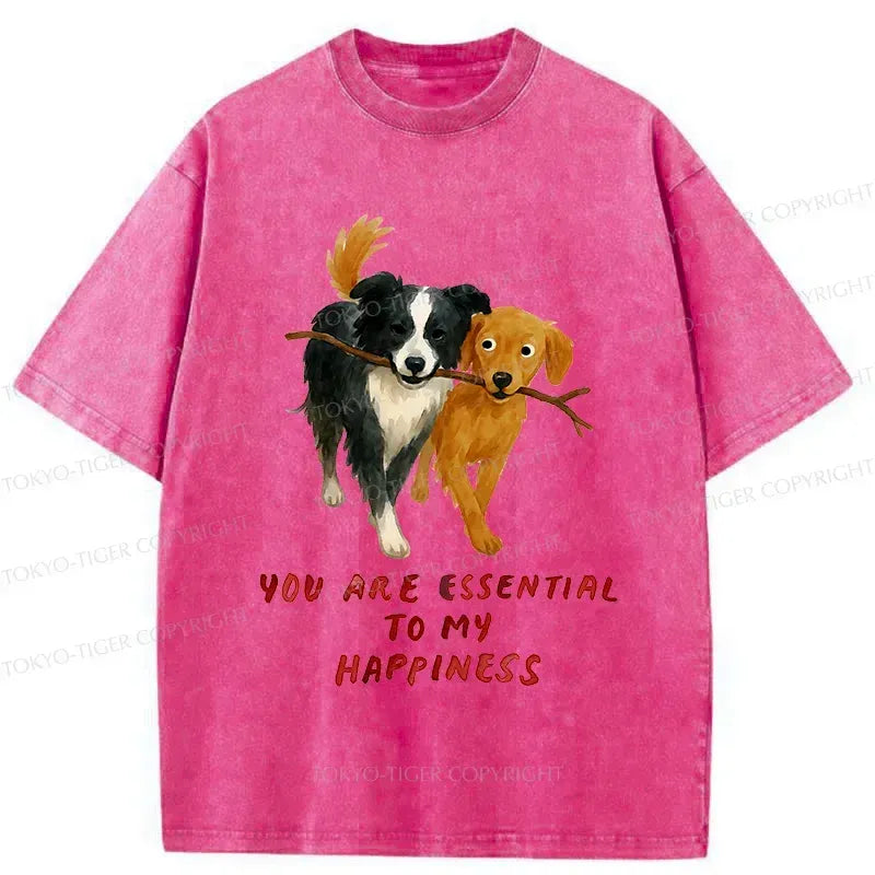 Kyoto-Lion Dogs' Friendship Washed T-Shirt
