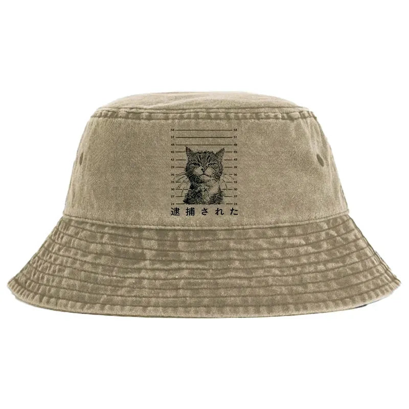 Cat arrested washed hat gift for him